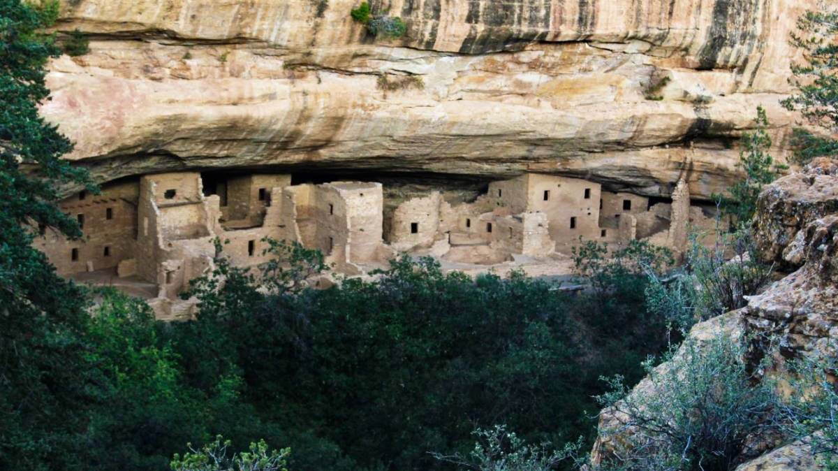 Vista de las viviendas con los frondosos árboles verdes debajo en Mesa Verde