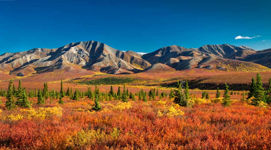 Cielo azul claro sobre la Cordillera de Alaska de Denali en la temporada de otoño