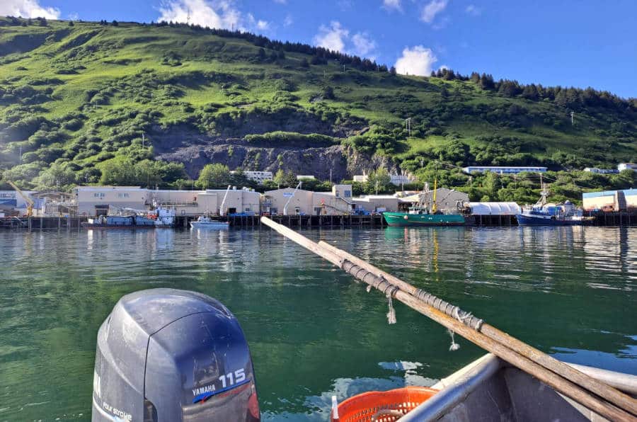 Ver mientras pesca en Kodiak, Alaska