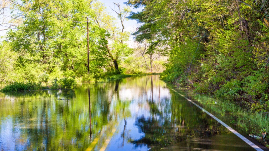Vista de la carretera inundada rodeada de exuberante vegetación cerca de Asheville