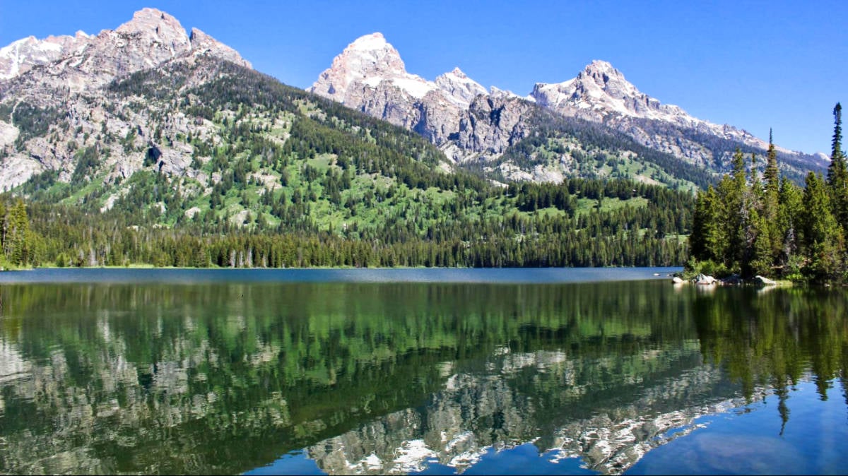 Vista panorámica del Parque Nacional Grand Teton reflejado en el agua