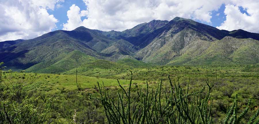 Relajante vista del Cañón de Madera