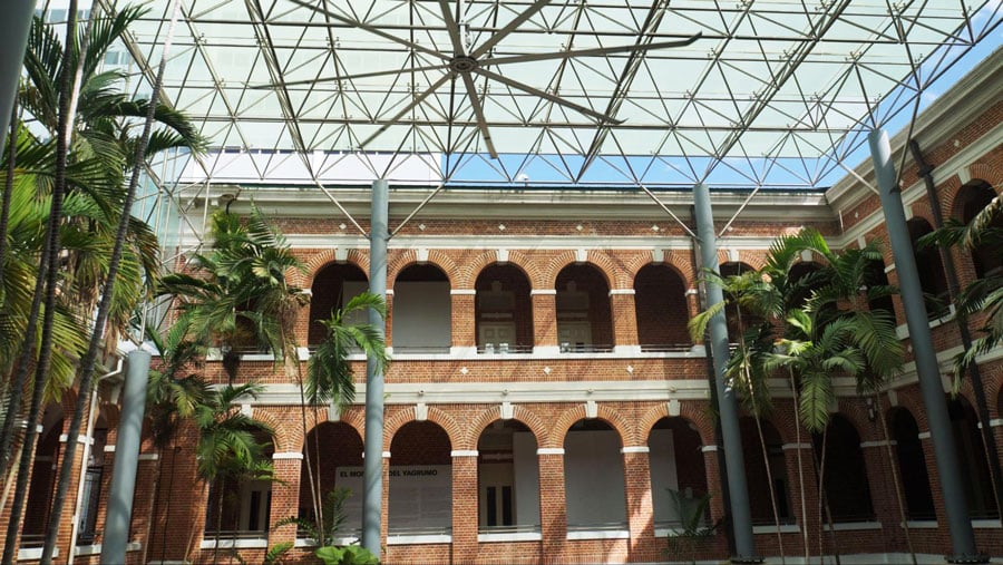 Vista del Museo de Arte Contemporáneo y algunas palmeras en él