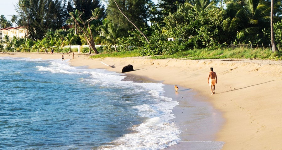 vista, de, un, hombre caminar, por la playa, con, un, perro, al lado de, él