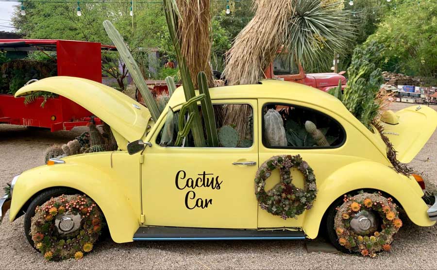 El Cactus Car amarillo lleno de cactus en el interior de los Jardines Botánicos de Tucson