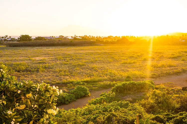 ¿Estás planeando un viaje a Kauai, Hawái?  Estos son los 10 mejores lugares para comer en Kauai, ¡no te los pierdas!